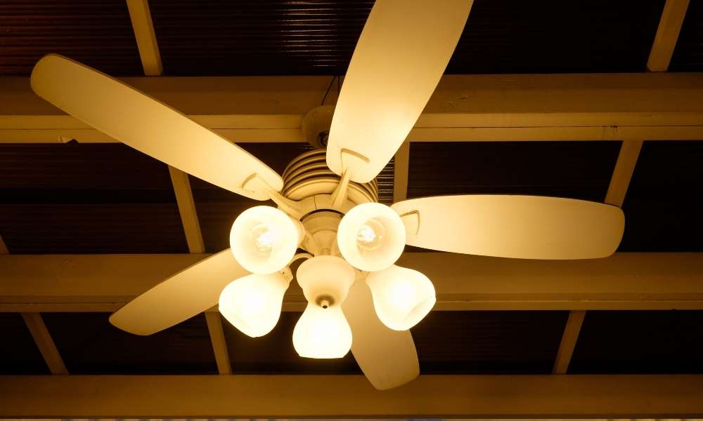 Lighting Fan