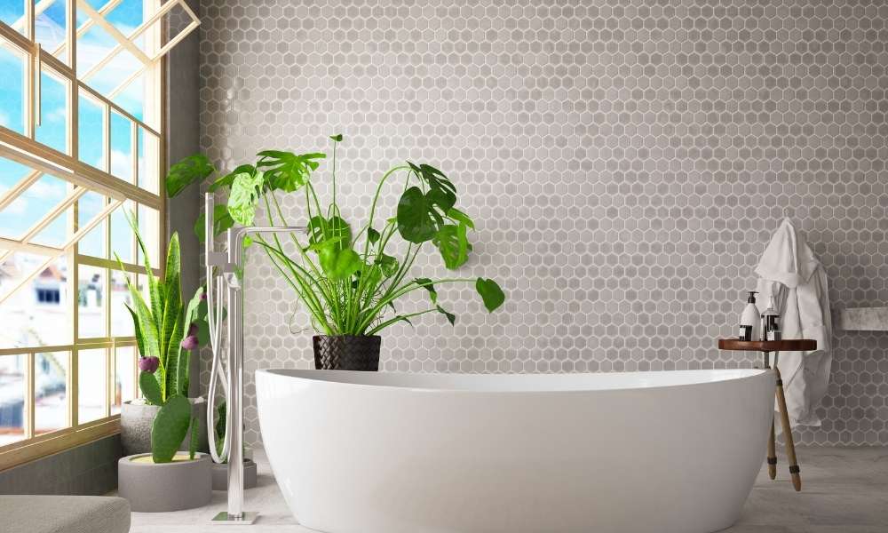 Plant To The Bathroom