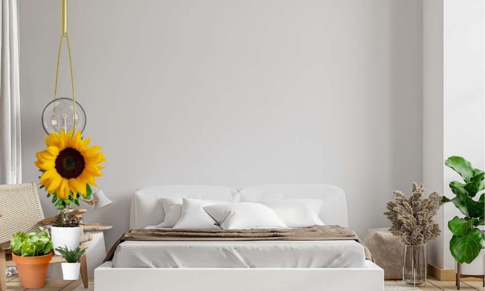 Why is The Sunflower Bedroom Popular?