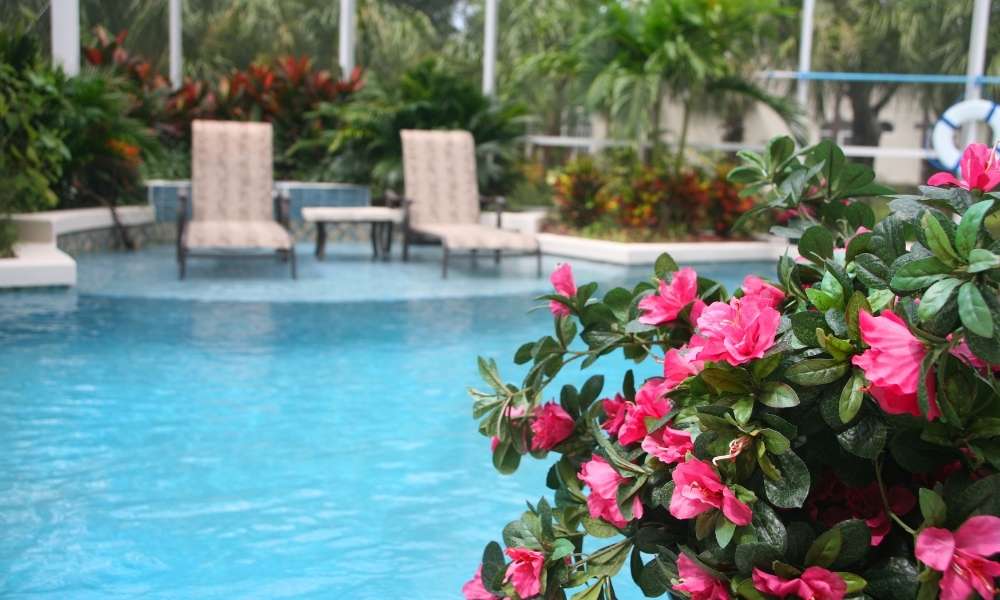 Outdoor Pool Wall Decor Ideas Home E Touch