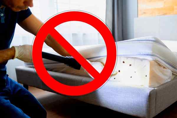 proper precautionary measures before hiring exterminator for bed bugs